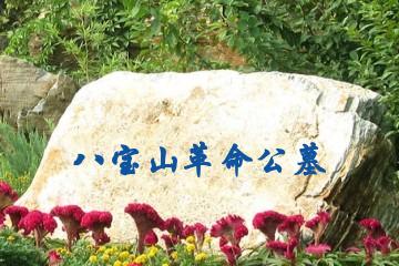 北京八宝山革命公墓